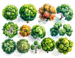 Overhead watercolor painting of various tree types and forms