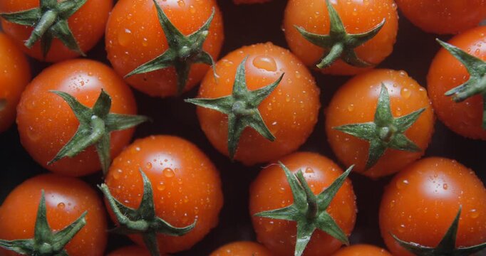 Cherry tomatoes with water drops close up studio shot over rotating