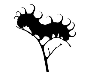 Silhouette of a caterpillar on a twig, vector illustration, type 3
