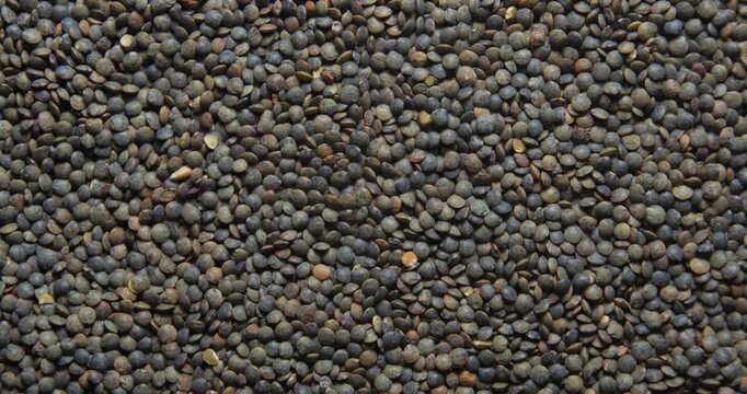 Lentils close up studio shot over rotating