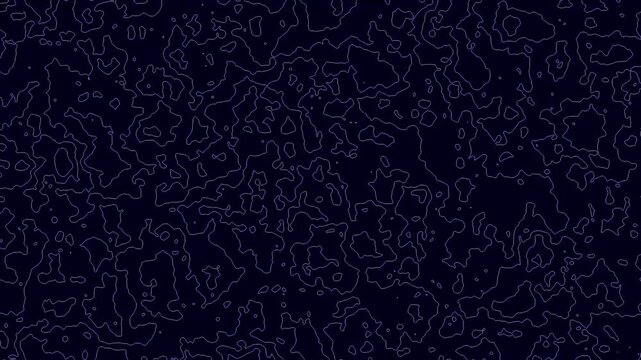 Abstract digital topography lines moving across dark background forming evolving organic pattern