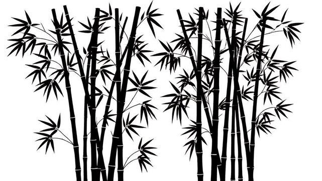 Black Bamboo Forest Silhouette Motion Graphic Loop Background