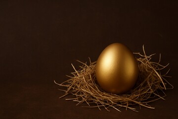 A golden Easter egg with hay on dark brown background.