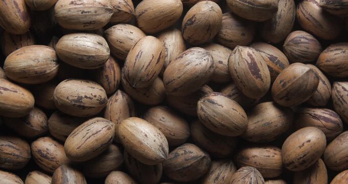Pecan nuts close up studio shot over rotating