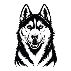 A striking black and white portrait of a husky dog s head