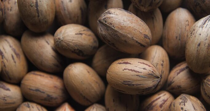 Pecan nuts close up studio shot over rotating