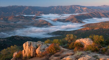 mountain viewpoint overlooking sea of fog, soft warm light, no people 