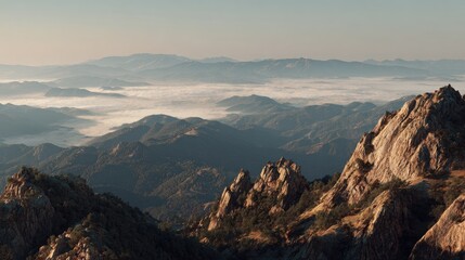 mountain viewpoint overlooking sea of fog, soft warm light, no people 