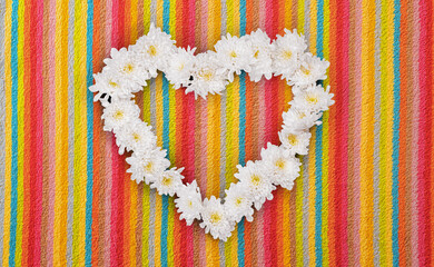 White Flowers Heart on Colored Fluffy Furry Textyle Surface. File with Clipping Path.