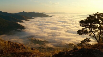 quiet mountain morning with sea of clouds and golden sky, peaceful mood, no people