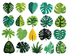 Collection of tropical leaves in various shapes and green hues isolated