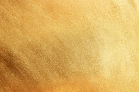 Gold metal brushed background or texture of brushed steel. gold wall background
