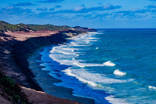 Natureza, Paisagem, Mar, Praia, paraiso, coqueiro, golfinhos, mar, passaros, vida, ver&atilde;o, Nordeste, Brasil