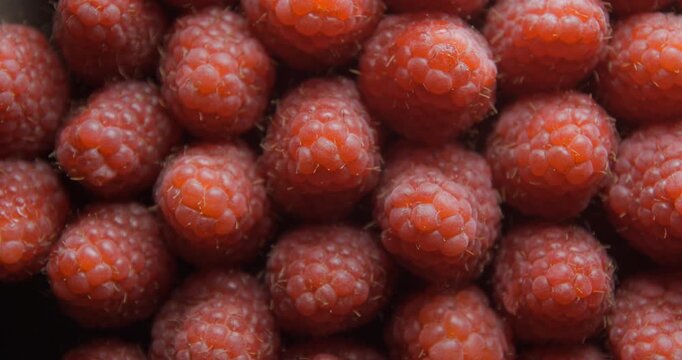 Raspberry close up studio shot over rotating