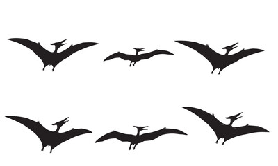 A set of six flying pterodactyl silhouettes in various poses suitable for graphic design