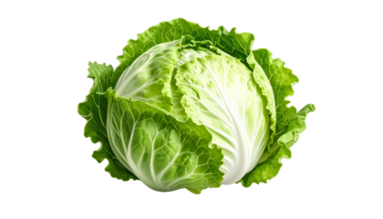 A vibrant, fresh head of cabbage with tightly packed leaves, isolated on a black background