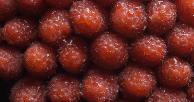 Raspberry close up studio shot over rotating