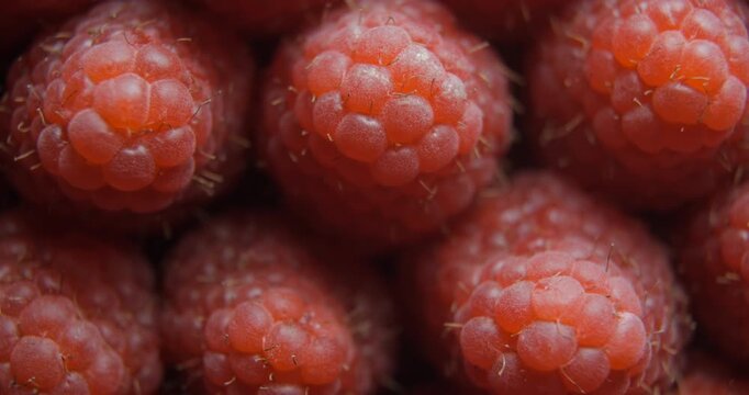 Raspberry close up studio shot over rotating