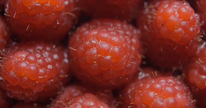 Raspberry close up studio shot over rotating