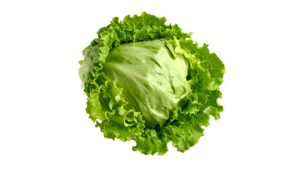 Isolated image of a head of vibrant green lettuce, showing ruffled leaves