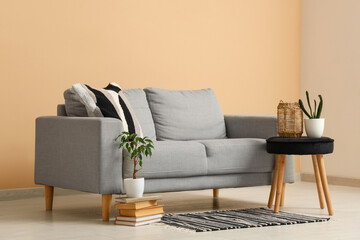 Interior of living room with comfortable sofa, stool, books and houseplants