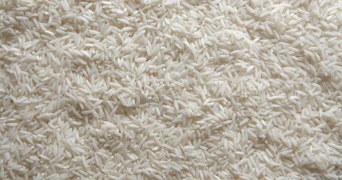 Rice close up studio shot over rotating
