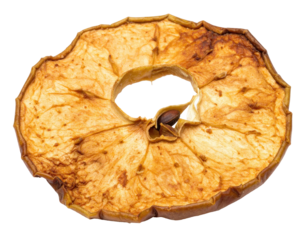 A single, dried apple slice, translucent with brown edges and a hollow core