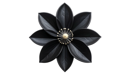 A symmetrical black flower with layered petals and a golden center on a black background