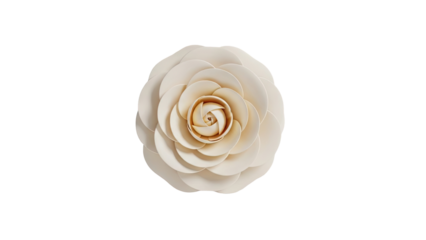 3D Elegant beige camellia flower bloom on transparent background