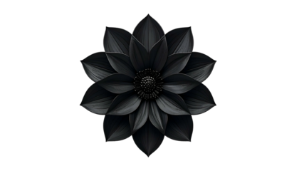 Rendered top-down view of a symmetrical black flower against a solid black background