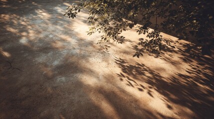 Concrete texture with soft dappled sunlight from tree canopy, warm afternoon vibe, nature shadows 