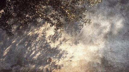 Concrete texture with soft dappled sunlight from tree canopy, warm afternoon vibe, nature shadows 