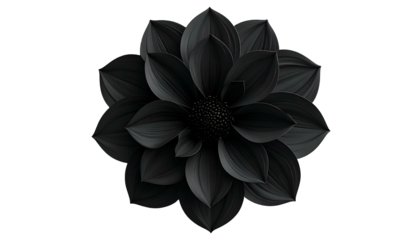 A detailed, isolated image of a black flower, centered with petal-details