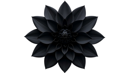 Dark, symmetrical, close-up of a perfectly formed, inky black flower against black background