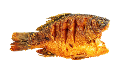 Crispy golden fried fish, close-up, isolated on a stark black backdrop