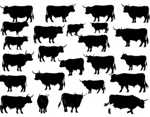 Black silhouettes of numerous horned cattle, isolated on white background