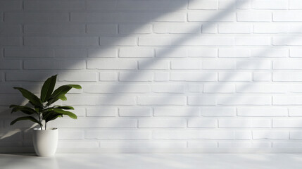 White brick wall plant shadow sunlight minimal background texture interior modern clean white brick wall background with plant shadow and sunlight creating minimal interior texture and modern calm