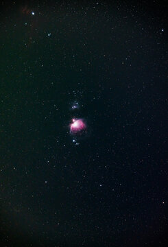 Orion Nebula 
