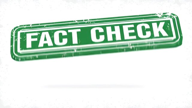 Green Fact Check Stamp Grunge Graphic Background Animation