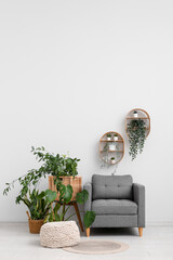 Interior of room with grey armchair and houseplants near white wall © Pixel-Shot