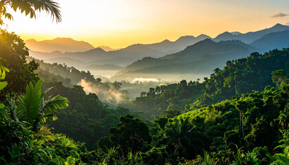 A view of the jungle from the top of the mountain beautiful scenery of trees growing on mountain
15