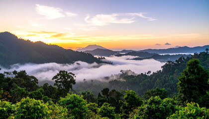 A view of the jungle from the top of the mountain beautiful scenery of trees growing on mountain
6