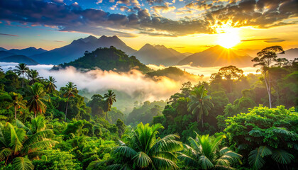 A view of the jungle from the top of the mountain beautiful scenery of trees growing on mountain
13