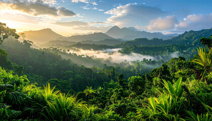 A view of the jungle from the top of the mountain beautiful scenery of trees growing on mountain
9