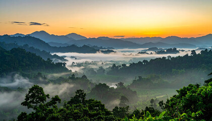 A view of the jungle from the top of the mountain beautiful scenery of trees growing on mountain
5