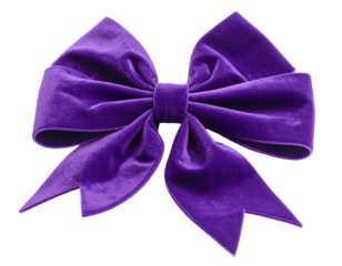 A plush, deep purple velvet bow against a black backdrop, well-lit and isolated