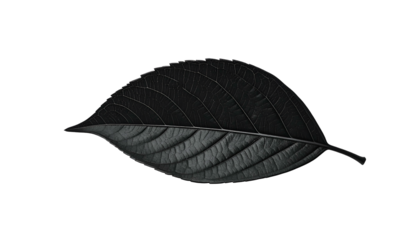 A single, stylized, black leaf isolated on a solid black background
