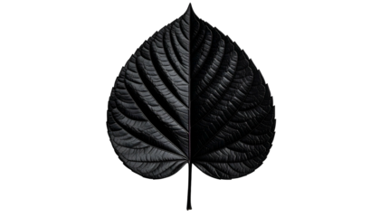 A black leaf, split vertically showcasing texture against a black background