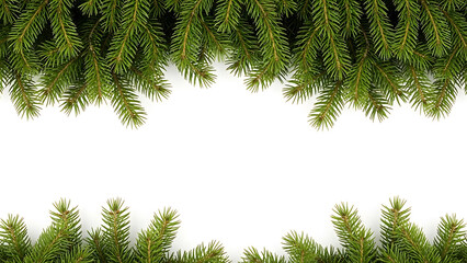 Obraz premium evergreen pine tree branches border isolated on white background