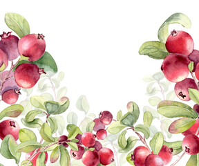 Lingonberry and cranberry watercolor frame border on white background. Fresh ripe red fruits on branches plant for food product packaging, or recipe card design. Superfood berries hand painted.